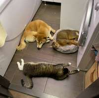 IMG202605284815637.jpg