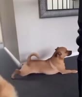 AQNMaNGnLDBJKFWSaqTpUuOYpnwk (online-video-cutter.com).mp4