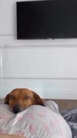 1748718596616.mp4
