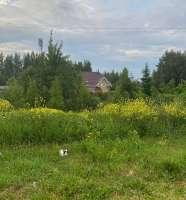 IMG20250606183700917.jpg