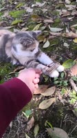 qftxi15hBZjWClubOzy8hkaKwk5cc.mp4