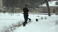 17494644214230.webm
