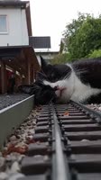 Blocked Train Station.mp4