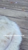 1NxUU0YITEFZ8MT4Yr9HjxztPqM.mp4