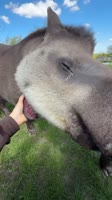 HBWNC7Xfa0650E8RXWL0.mp4