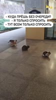 FTYCWVnpWXsoT4e9bFM8sLc9M.mp4