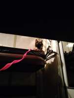 IMG20250108014957.jpg