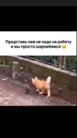 KRXgpGsJR2dGEYKuwudGo0.mp4