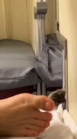 Какие только не попадаются соседи в плацкарте 😂.mp4