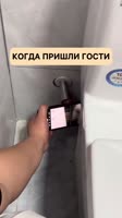 #юмор #кот.mp4