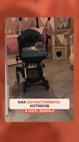 9282727261.mp4