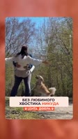 Член семьи 🥰#животные #собаки #добро #подписки #юмор.mp4