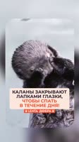 722872611.mp4