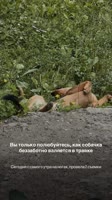 AQNPrMdKbMV0JW1wYnT63QX2XTqQ.mp4