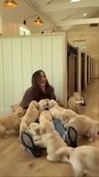 SaveClip.AppAQPkwjBVfOokjvF90ZES6iTQSQFV-EuN6BZY9SNC6SA2HoC0xZuEq9rMpdCDJzEcZorf-zM--DpzrA9ZqCuntL8wwzeNzcQZOOIk.mp4