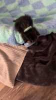 29gh52661h.mp4