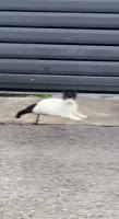 024092612857288.mp4