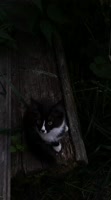 200507064925.mov