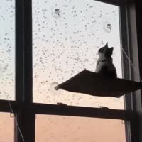 17517992002520.mp4