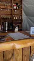 Ну очень милый администратор сегодня встречает наших гостей🐱.mp4