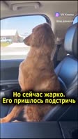 653222387.mp4