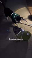 Js3yrq6yLCXrB9DPUa9NCo1rUBI.mp4