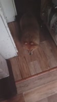 23577.mp4