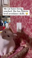 CYZudgqgzqm1GSeqhw5g.mp4