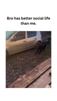 When your dog gets more invites than you.He didn’t even say bye. Just tail and betrayal.#LeftOnR.mp4