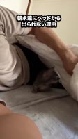 kCOOXtUucOuKOhUWVMwht0Os.mp4