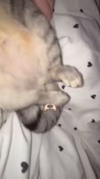 993828892.mp4