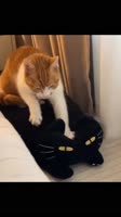 1M2YsVMRfgnTBPVOamuE.mp4