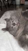 IMG20250000815305290.jpg