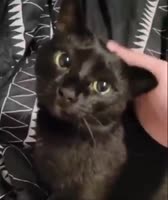 ur smart, ur kind, ur important.mp4
