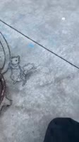 zoY9wY1P4VIq6cdVRsTgITJw.mp4