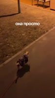 3737773.mp4