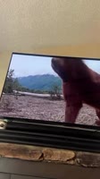 a7bb2P8O9CoCBmN9TpeFB4L6oY.mp4