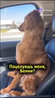 653222387.mp4