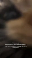 7530210778629033224.mp4