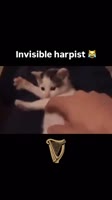 063580875.mp4