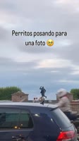 08369977.mp4