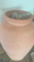 The acoustics are magical (🎥Natalie Parra via ViralHog).mp4