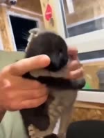 25208565113975503930.MP4