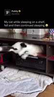 The placement of the bed makes think it’s happened before.mp4