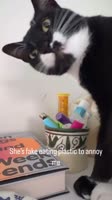 94993837743.mp4
