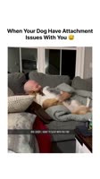 When a dog loves their dad 😅...#dog #dogsofinstagram #funny #dad #doglover.mp4