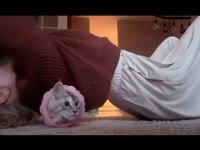 This is arguably the cutest thing ever!😻#cats #catsofig #catsoftheworld #catslovers #catslovers (online-video-cutter.com).mp4