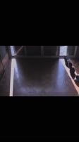 Buy me a virtual coffee and help me feed, treat, and protect street animals. ☕Link in the bio. 🐮mp4.mp4