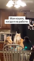 3467899000.mp4