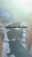 ZaMu3a592qV4NIKwwUGaPGeVP.mp4